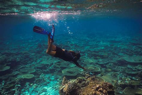 Experience the Witchcraft Island Snorkeling Fantasy